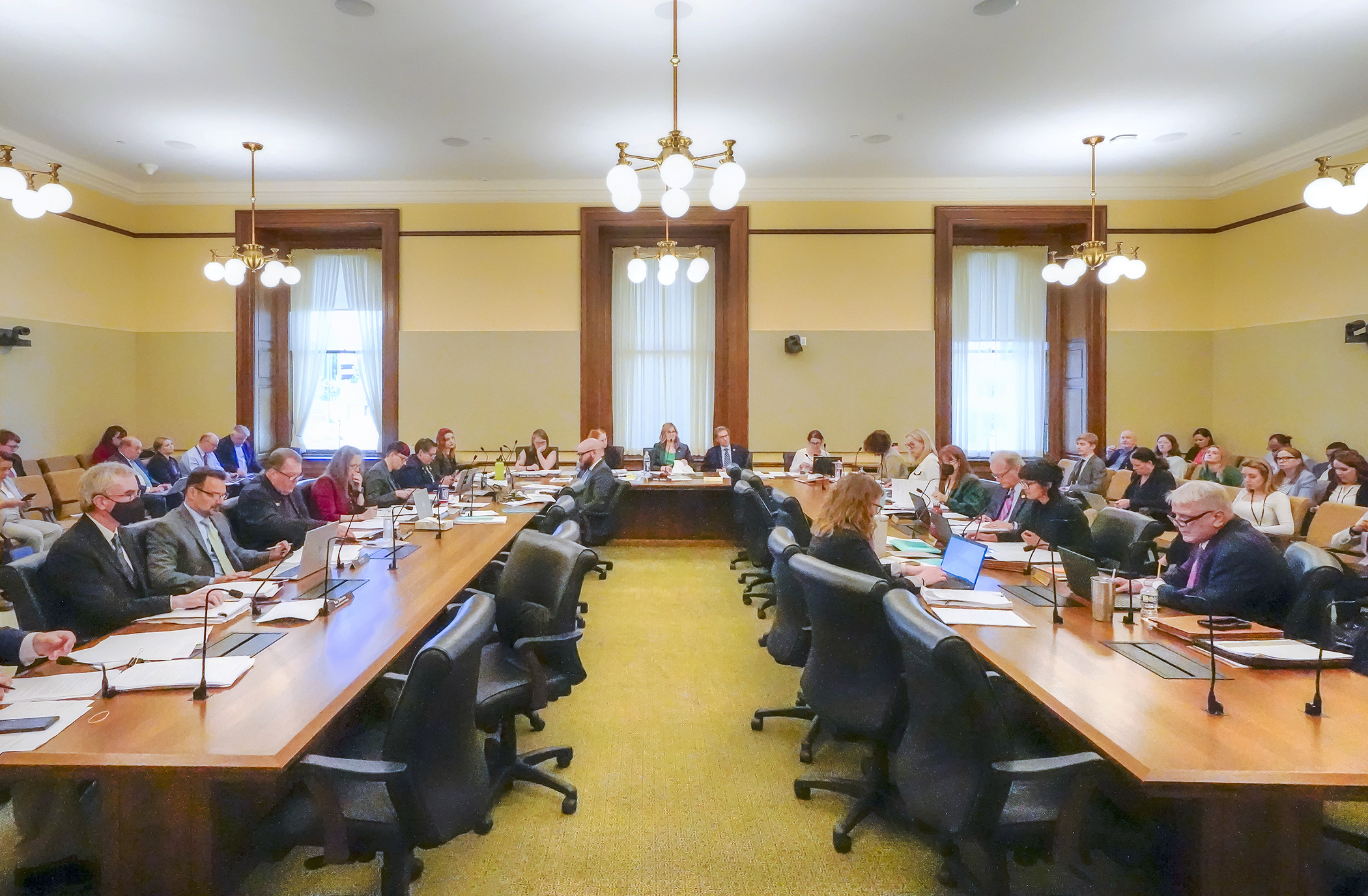 The conference committee on the judiciary, public safety, and corrections supplemental budget bill meets May 17. (Photo by Andrew VonBank)